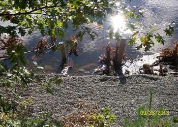 Whittier Road Stabalization